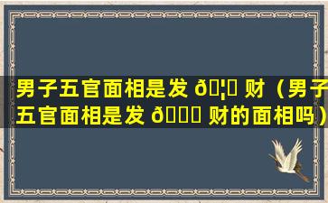 男子五官面相是发 🦁 财（男子五官面相是发 🐘 财的面相吗）